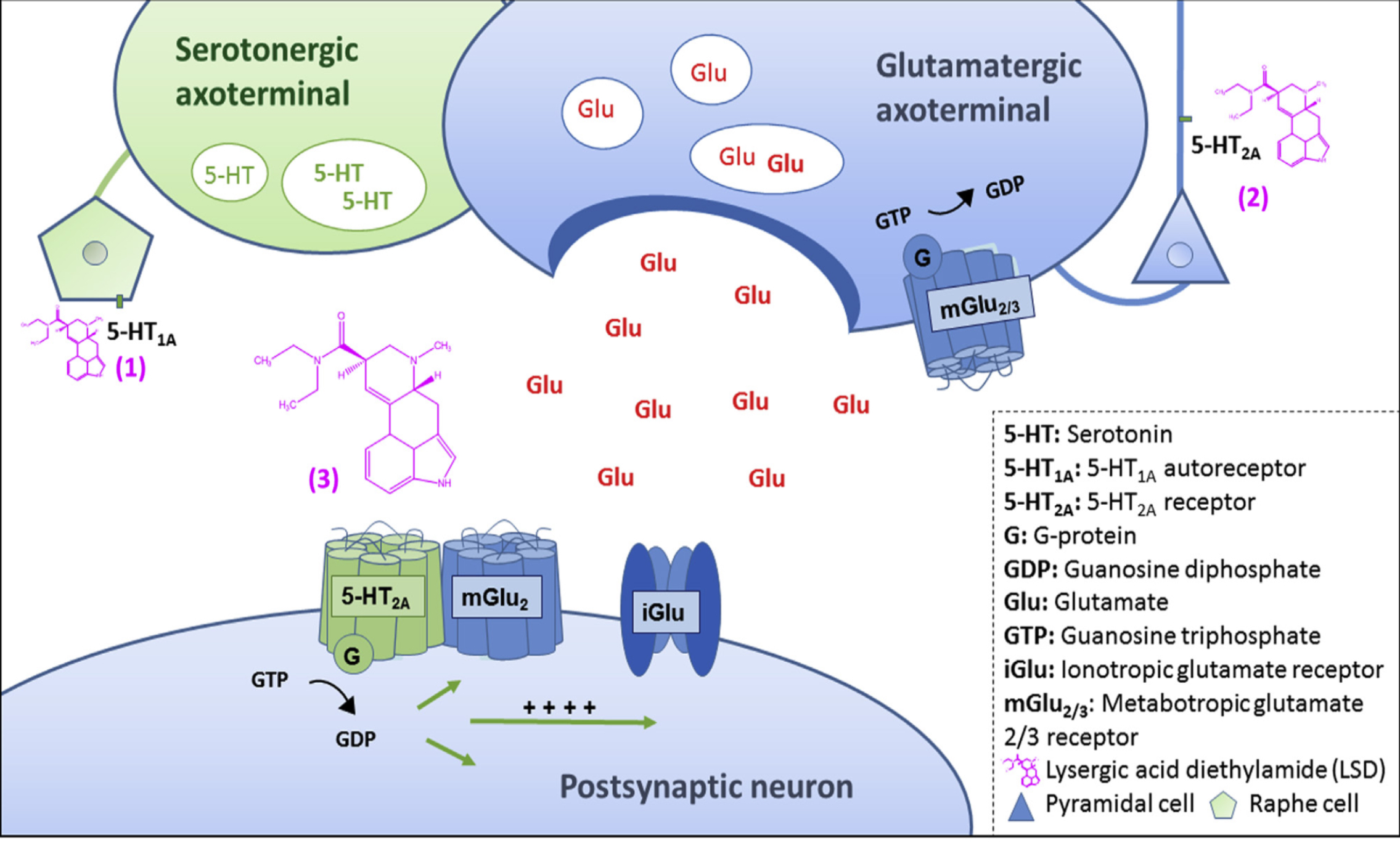 Mechanism2