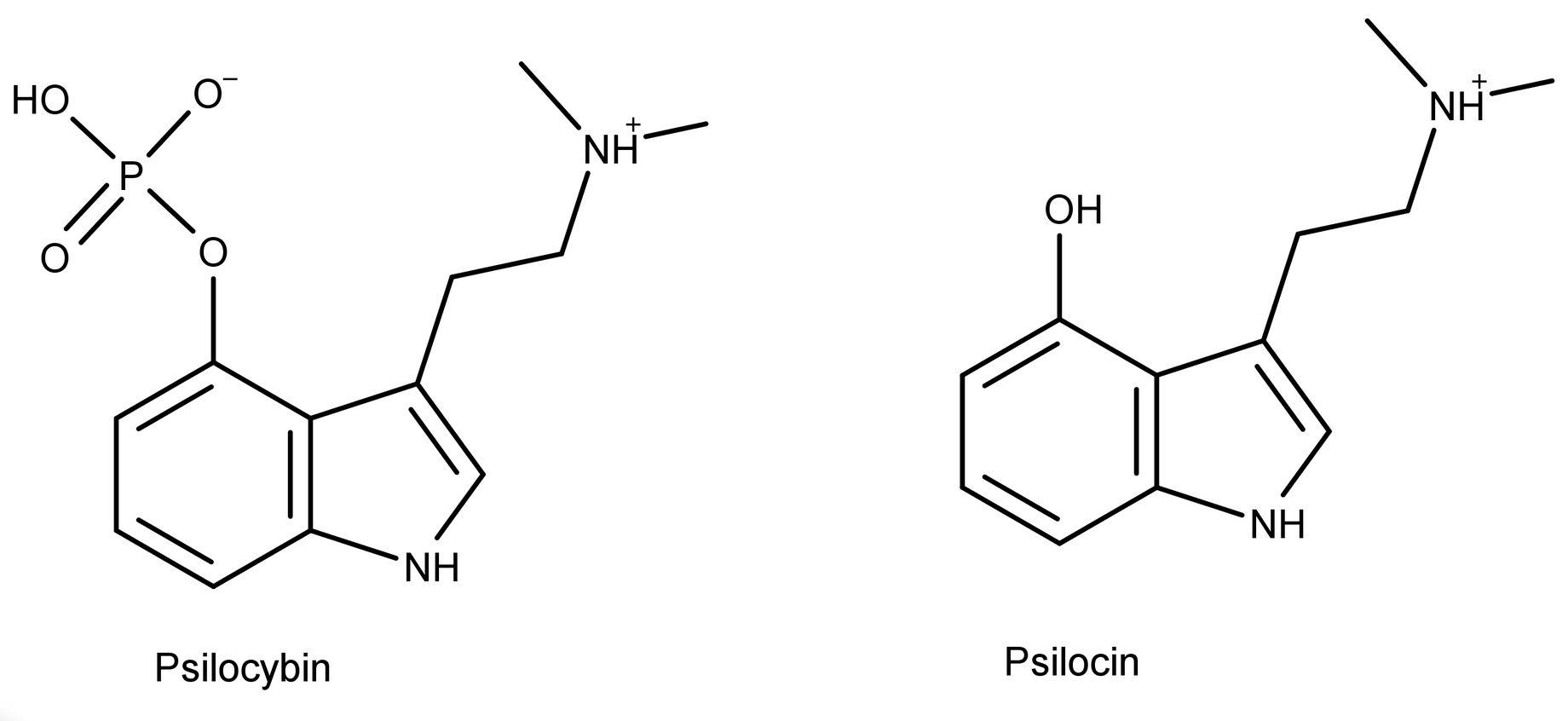 SK31yCUOex