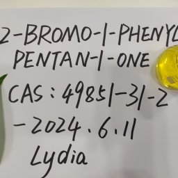 2-BROMO-1-PHENYL-PENTAN-1-ONE CAS 49851-31-2