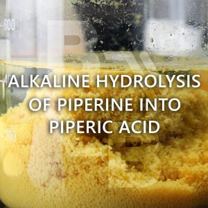 Alkaline Hydrolysis of Piperine Into Piperic Acid